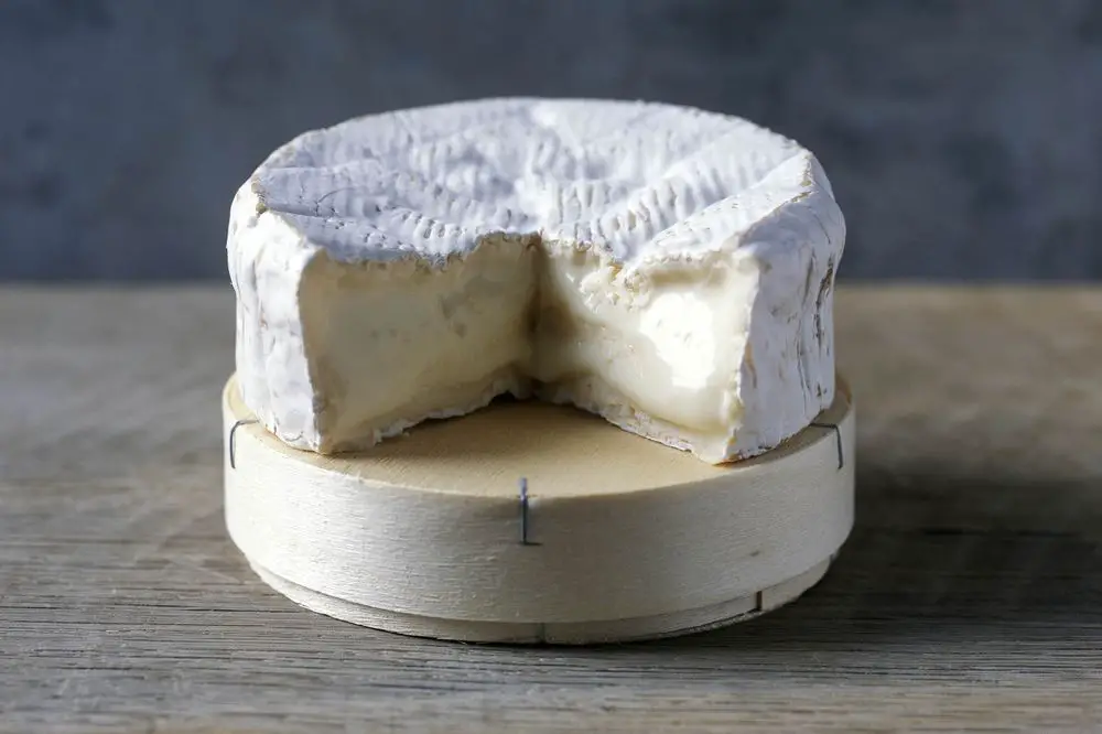 Camemburt Cheese