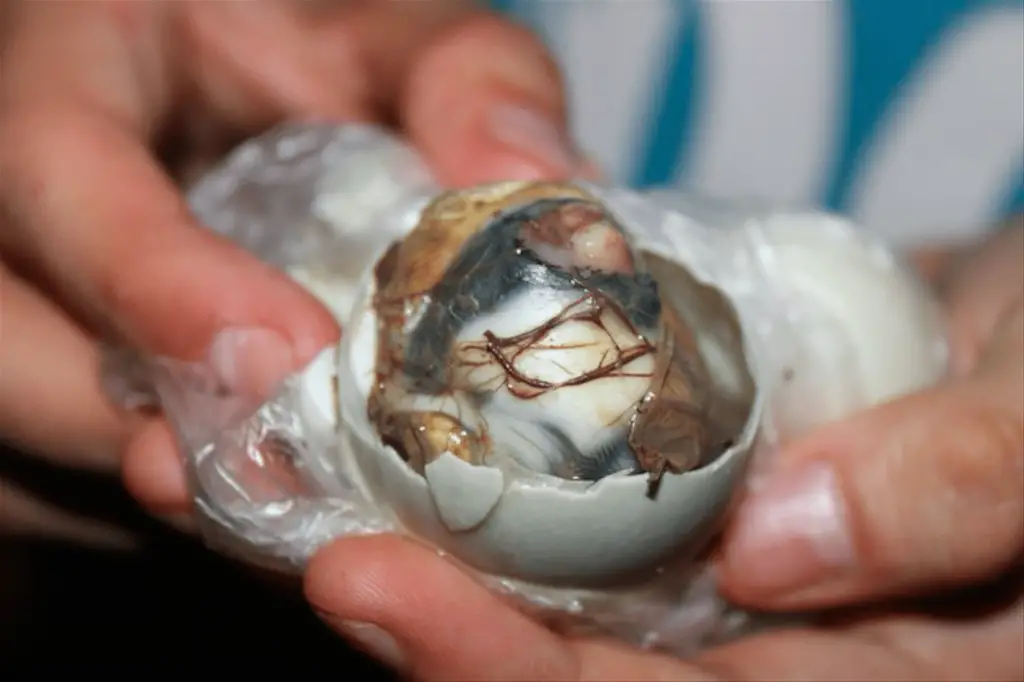 Balut, The Philippines