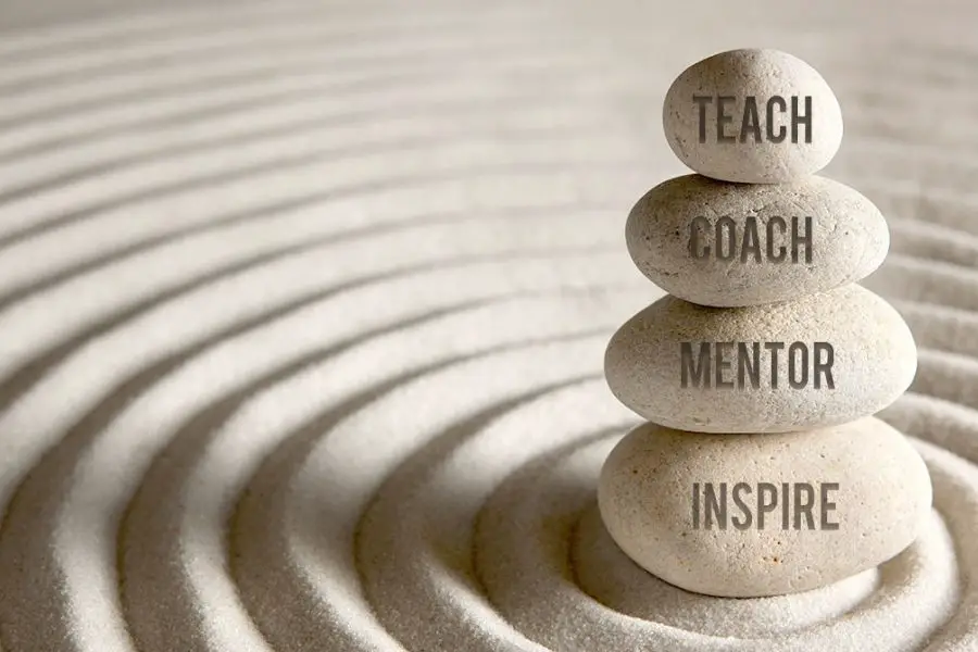 Teach, coach, mentor