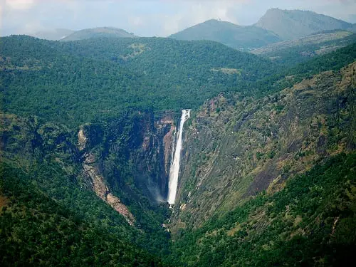 Palani hills, Tamil Nadu