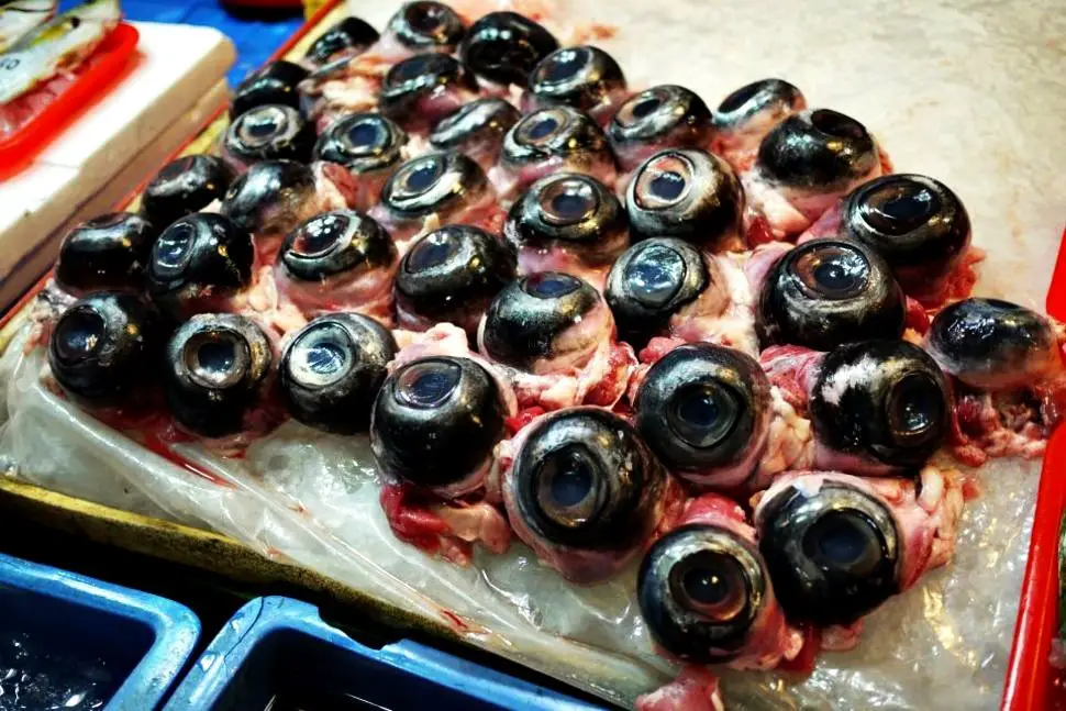 Tuna Eyeballs, Japan