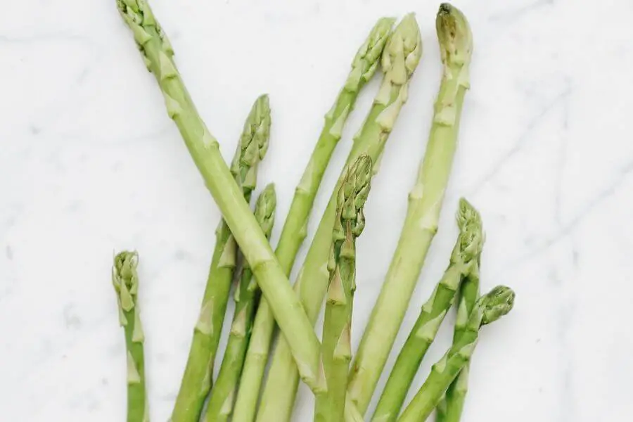 Top 15 Kid-Friendly Vegetables - Asparagus