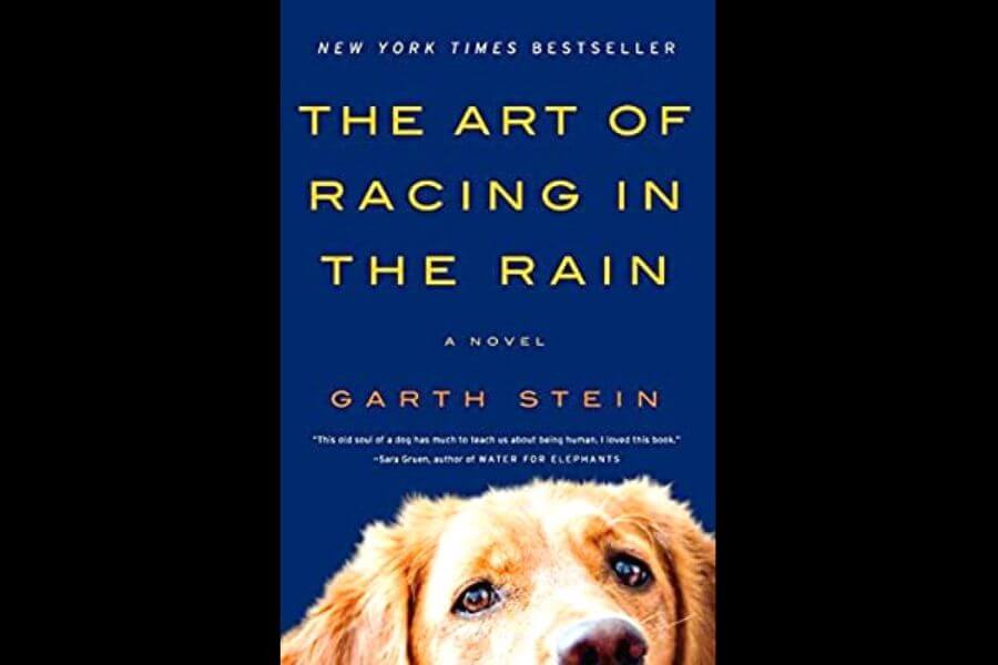 The Art of Racing In The Rain