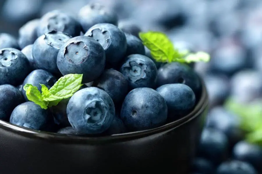 Eat Blueberries 