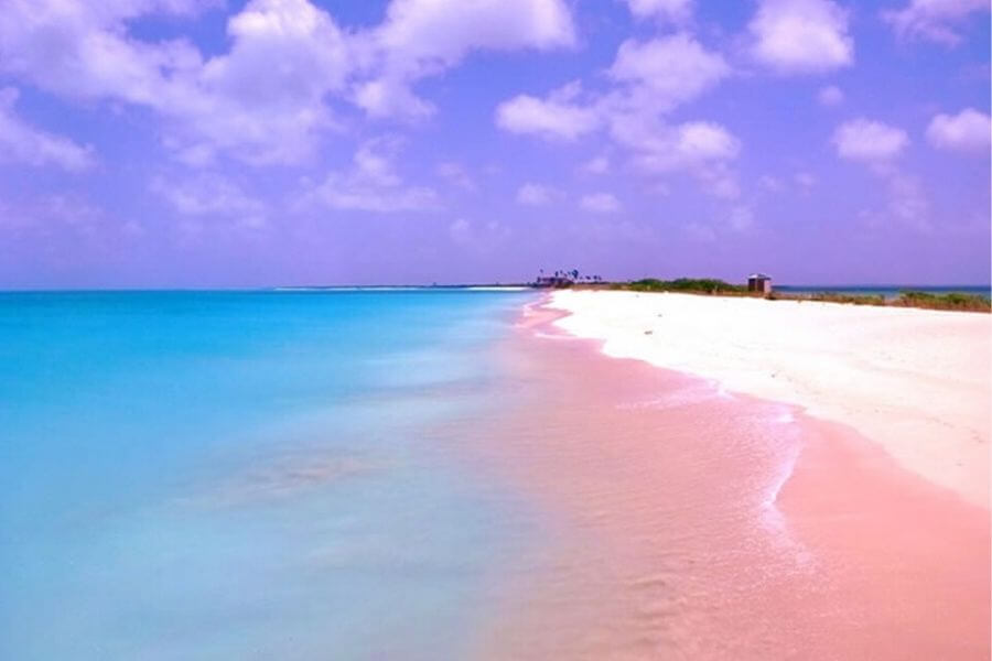 Pink Sand Beach (Bahamas)