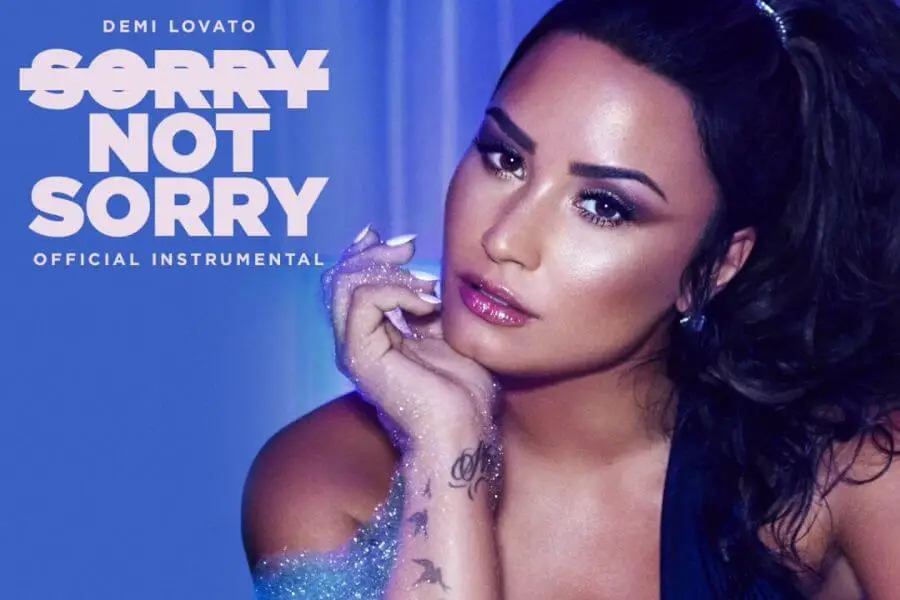 Sorry Not Sorry – Demi Lovato