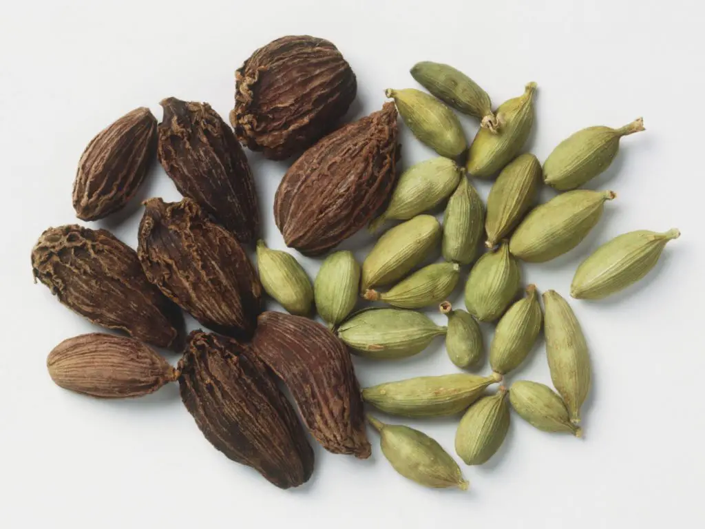 Two Cardamom Types
