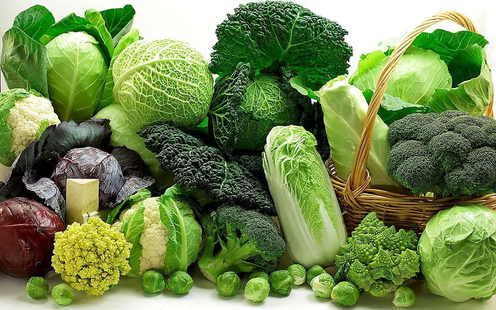 Eat More Organic Green Leafy Veggies