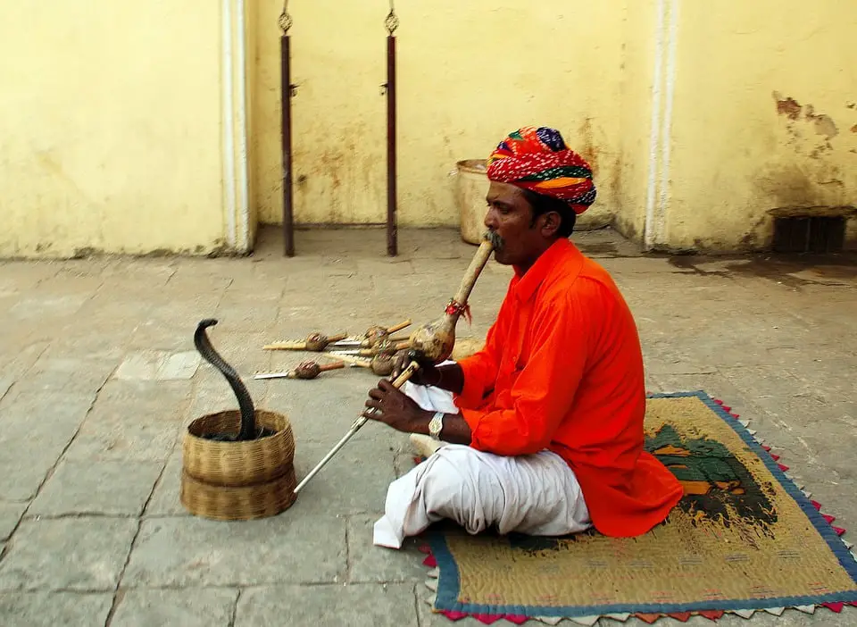 India is a land of snake charmers