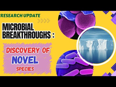 Microbial Breakthrough: Discovery of Novel Bacteria #microbiology #antarctica #science #discovery