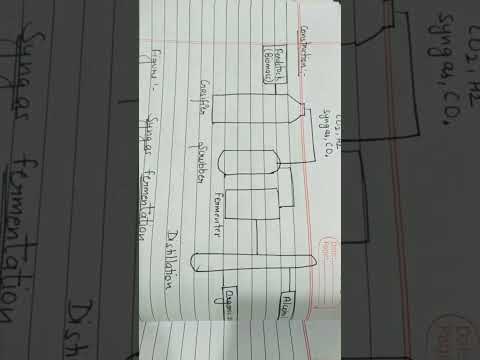 Syngas Fermentation || Biofuels and Alcohol Technology ||
