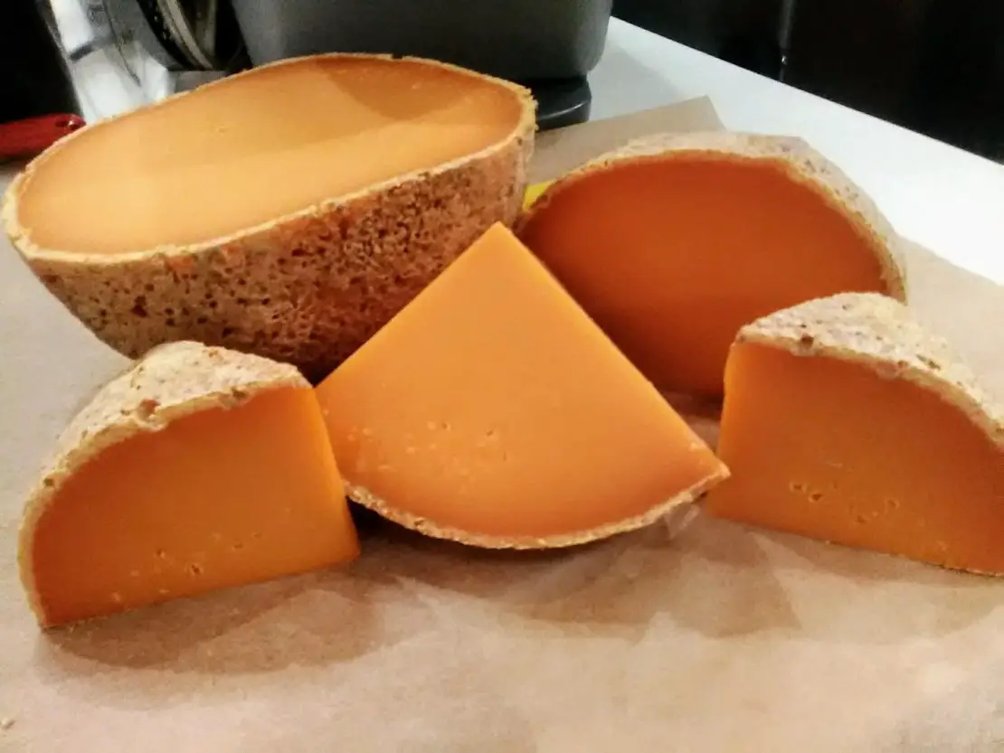 Top 15 Cheese Variants You Need To Know 