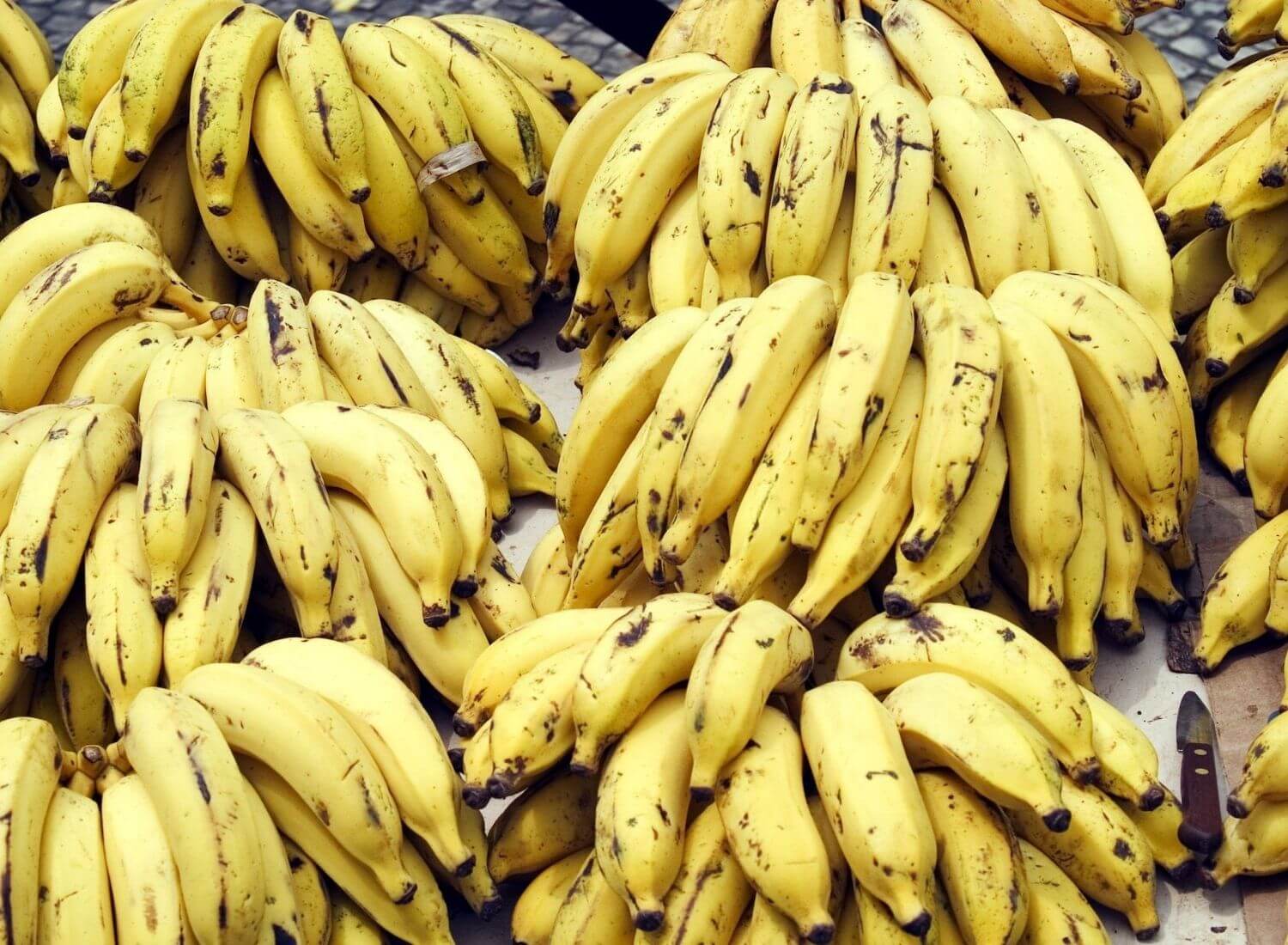 Белые бананы фото Top 15 Hidden Facts About Bananas - Top 15