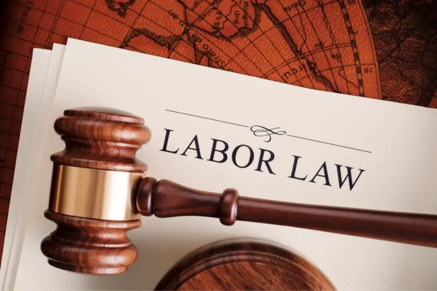 Employment laws