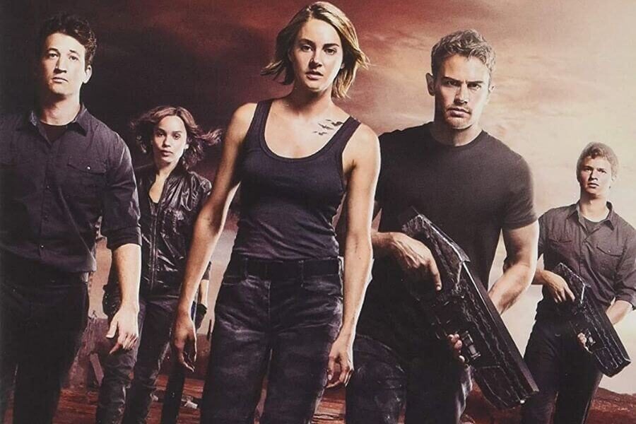 The Divergent Series