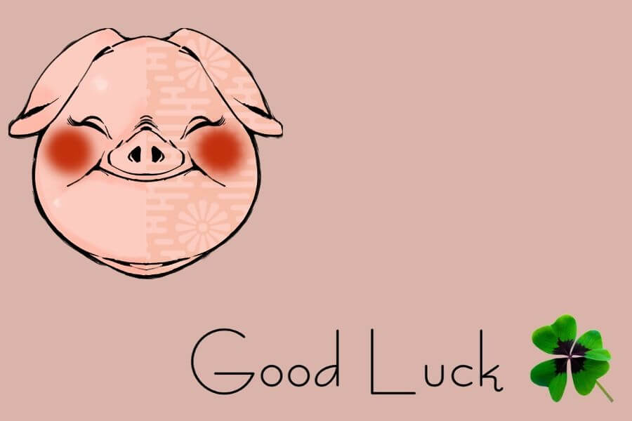  The Good luck Pig