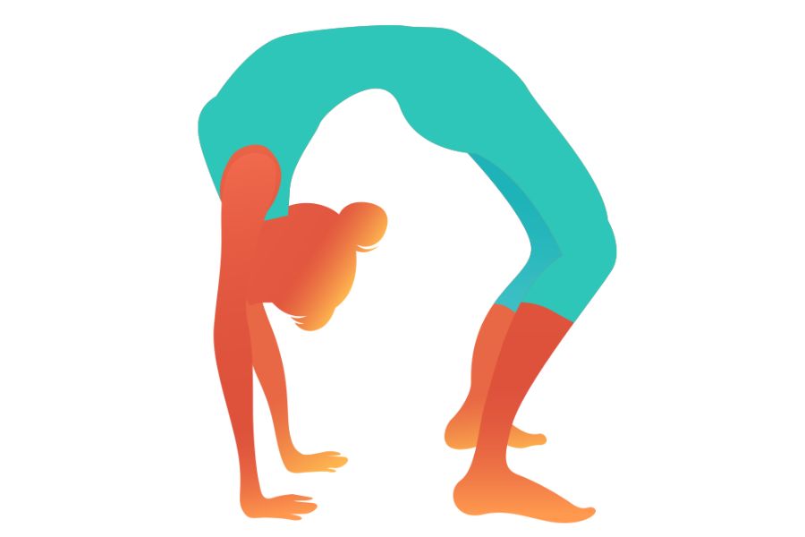 Basic Yoga Asanas For Beginners 