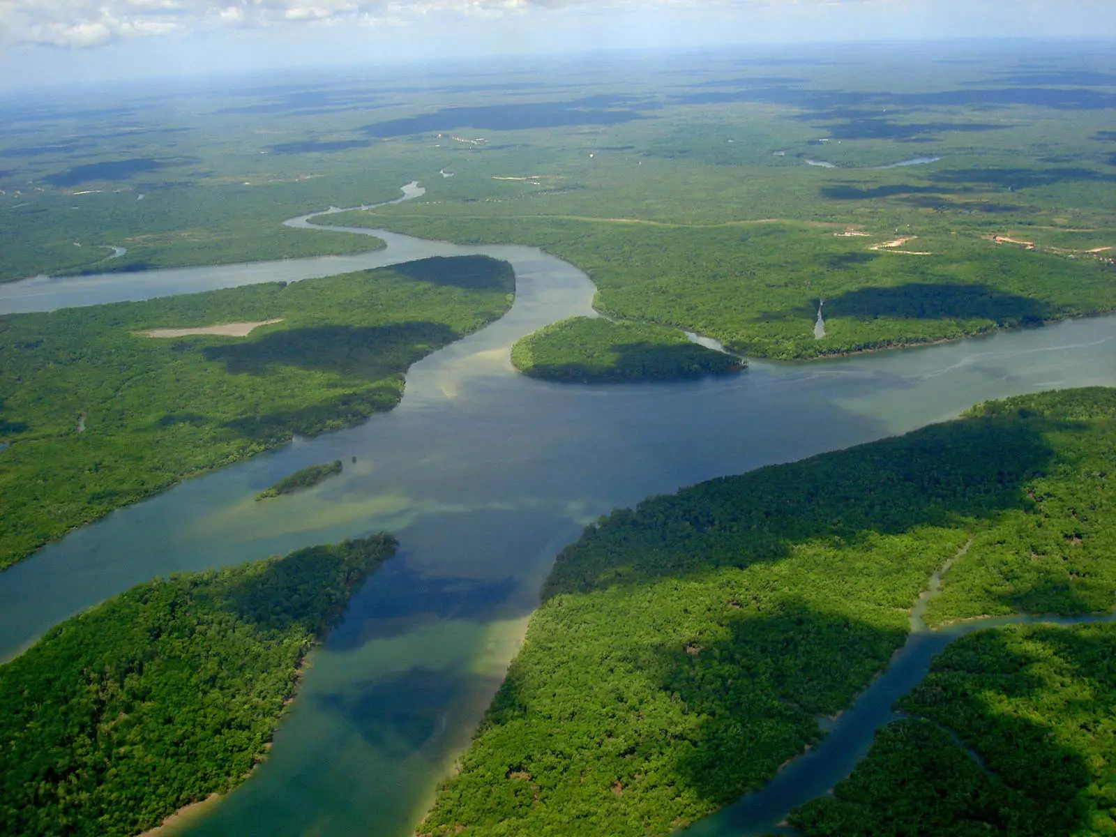 Амазонка какое устье. Река Ориноко. Реки Амазонка Ориноко Парана. Миссисипи, Маккензи, Колорадо, Амазонка, Ориноко. Река Ориноко Южная Америка.